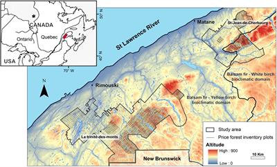 The Changing Disturbance Regime in Eastern Canadian Mixed Forests During the 20th Century
